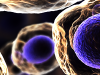 Extracellular Vesicles 2023: Technologies, Biomarker Cargo & Diagnostics