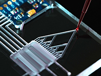 Lab-on-a-Chip and Microfluidics Asia 2023