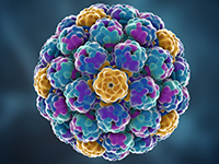 3D-Cell Culture Heterogeneity: A Webinar by CellDynamics i.s.r.l